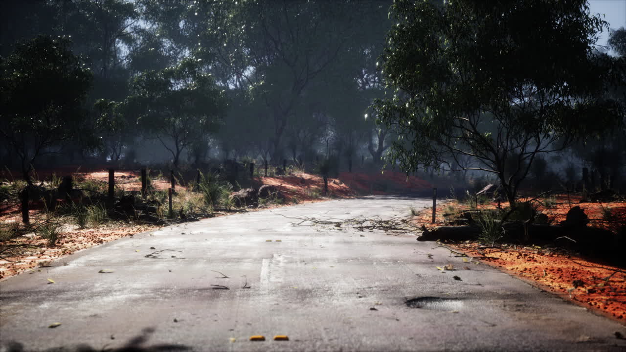 나무 들 의 터널 에 있는 아름다운 나무 로  ⁇ 인 도로