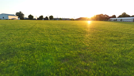 deslizamiento aéreo bajo sobre hermosa hierba verde