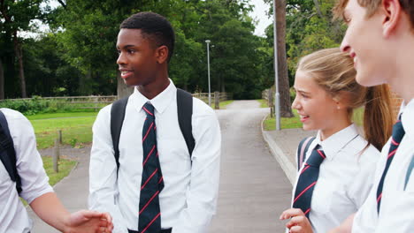 Teenage-Students-In-Uniform-Socializing-Outside-School-Buildings