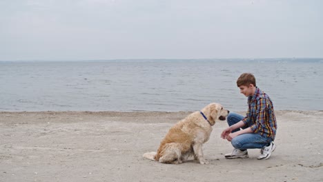 smart golden retriever training on beach