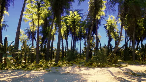 una hermosa playa tropical con palmeras