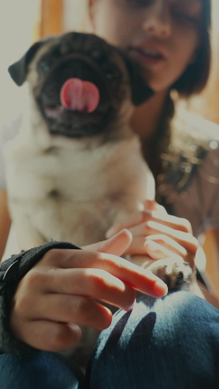 una chica abrazando a un pug