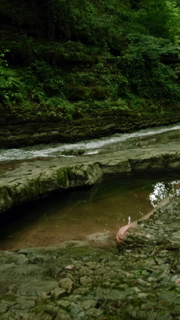 forest creek and rocks