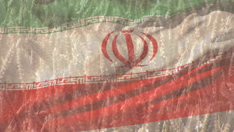 digital composition of waving iran flag against close up of crops in farm field