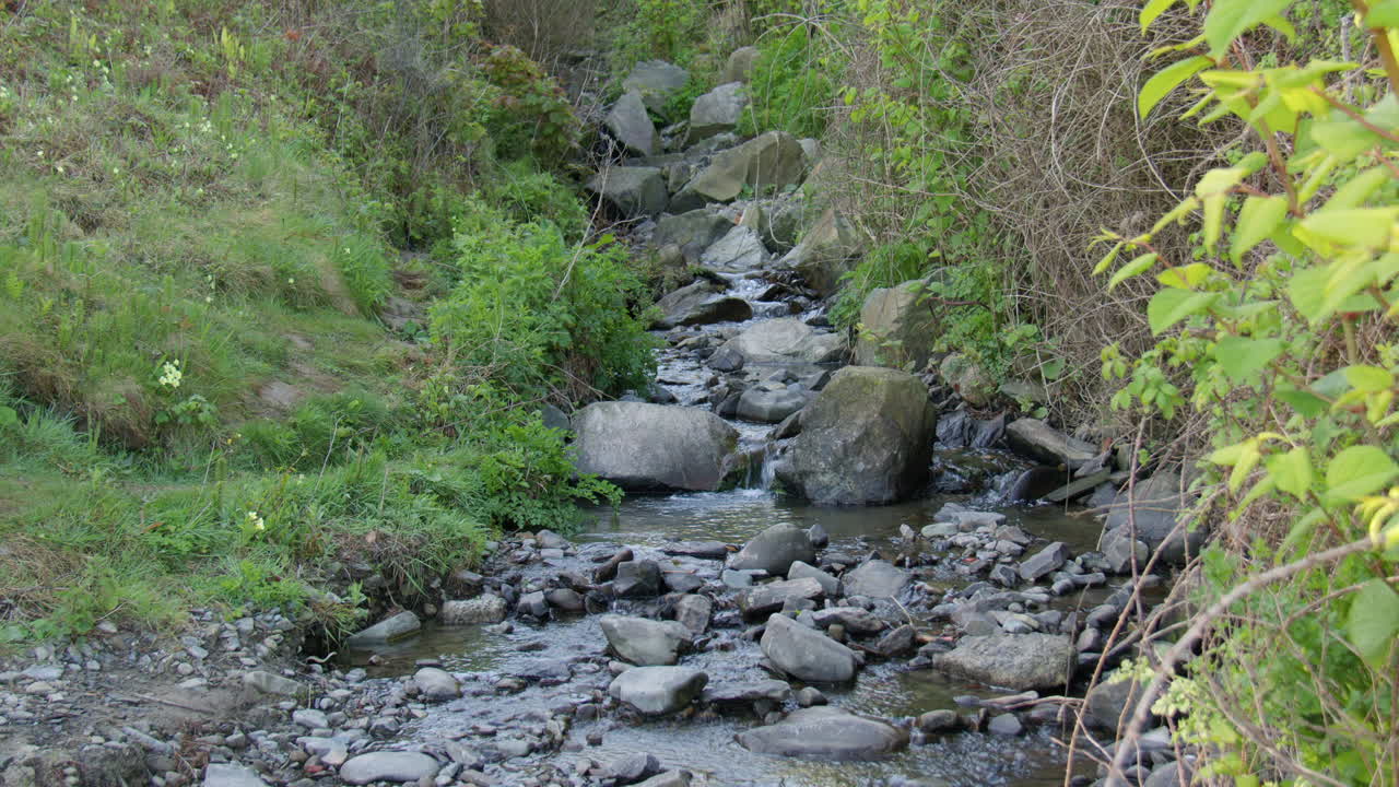 wide shot of a small rocky stream brook at new quay beach