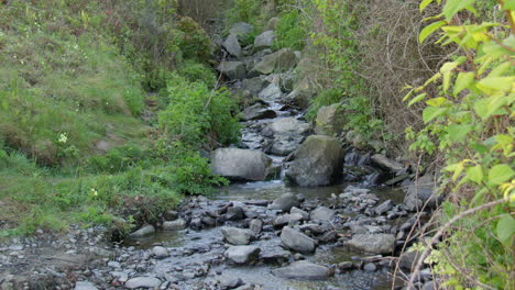 wide shot of a small rocky stream brook at new quay beach