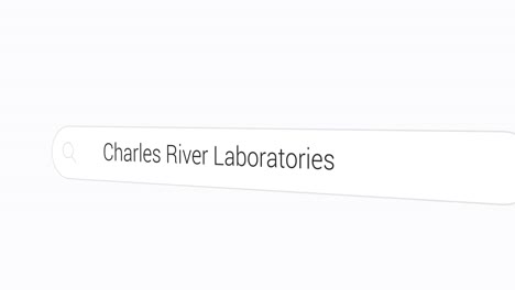 typing charles river laboratories on the search engine