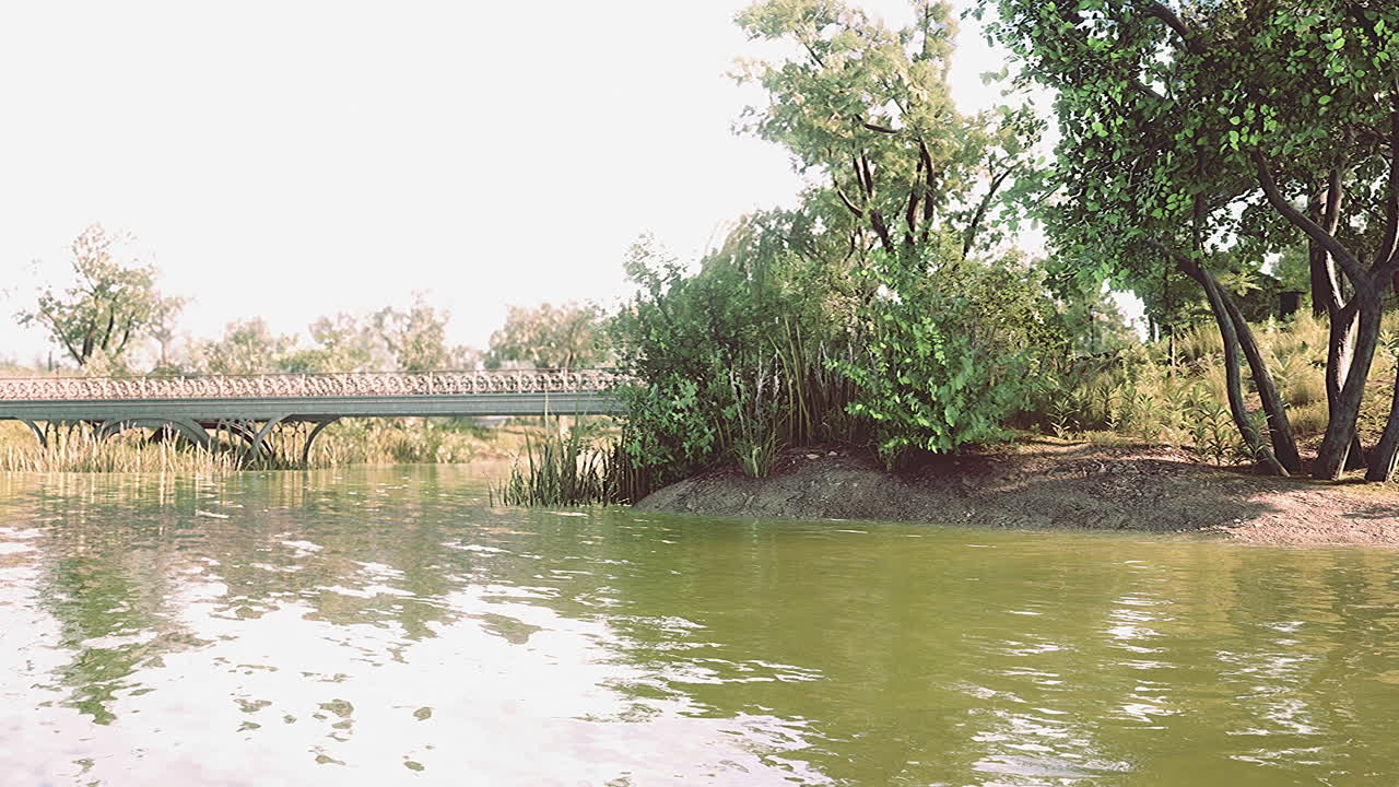 césped verde en el parque de la ciudad con pantano bajo la luz del sol