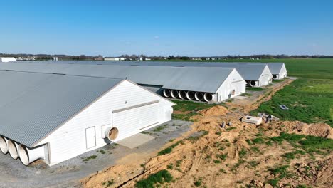 Aerial-view-of-tie-stall-dairy-barns-with-tunnel-ventilation-system