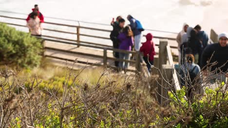 tourists enjoying the scenic coastal view