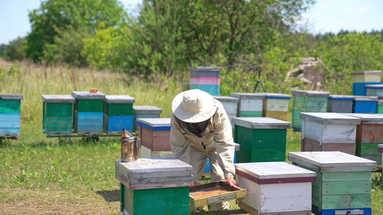Male adult apiarist takes a wooden box and carries it to another place. Bee farm at the meadow near the garden.