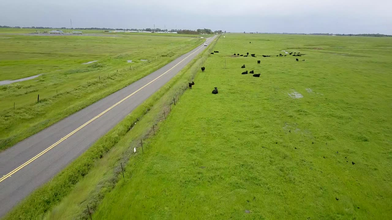 캘리포니아 도로 위의 소