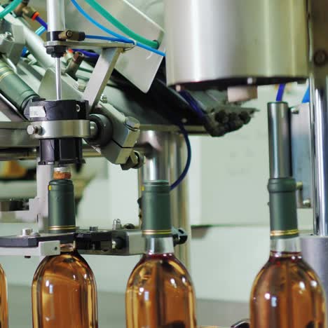 wine production and bottling at a winery