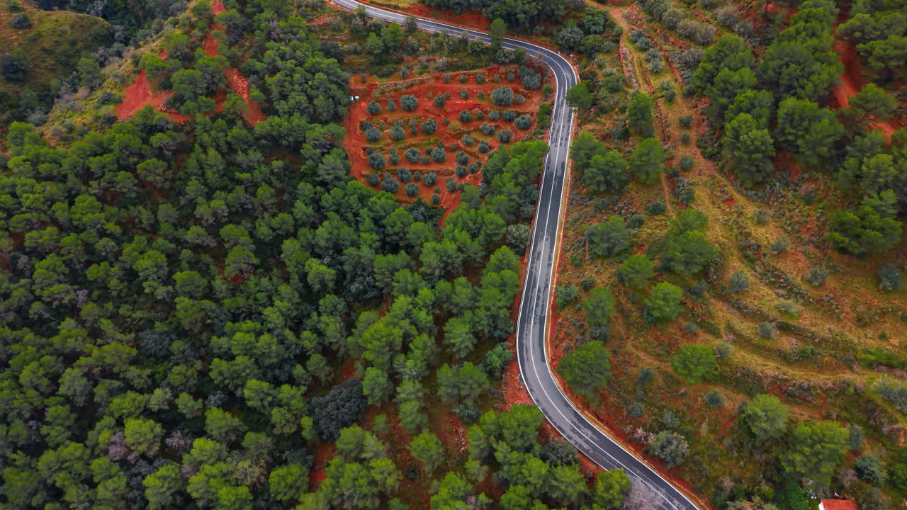 Strada tortuosa attraverso pendii terrazzati e pineta verde. Vista aerea di un'autostrada di montagna che attraversa terrazzamenti agricoli e alberi di conifere