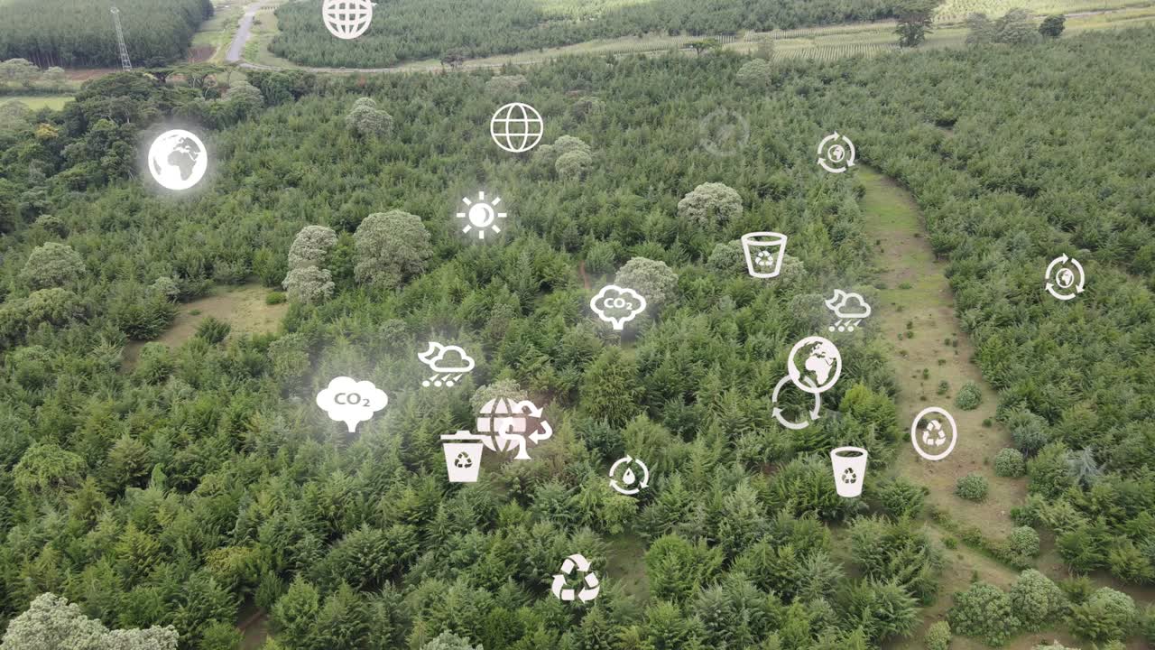 дронный вид - африканский лес - кения и танзания - лесный пожар на склонах горы килиманджаро loitokitok кения