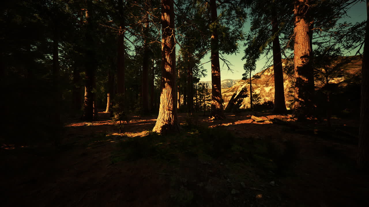 세코이아 국립 공원 에서 땅 위 에  ⁇ 아 있는 거대한 세코이아 나무 들