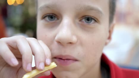 Boy Eating French Fries