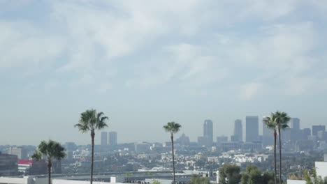 palm trees and los angeles skyline, downtown, cloudy blue sky