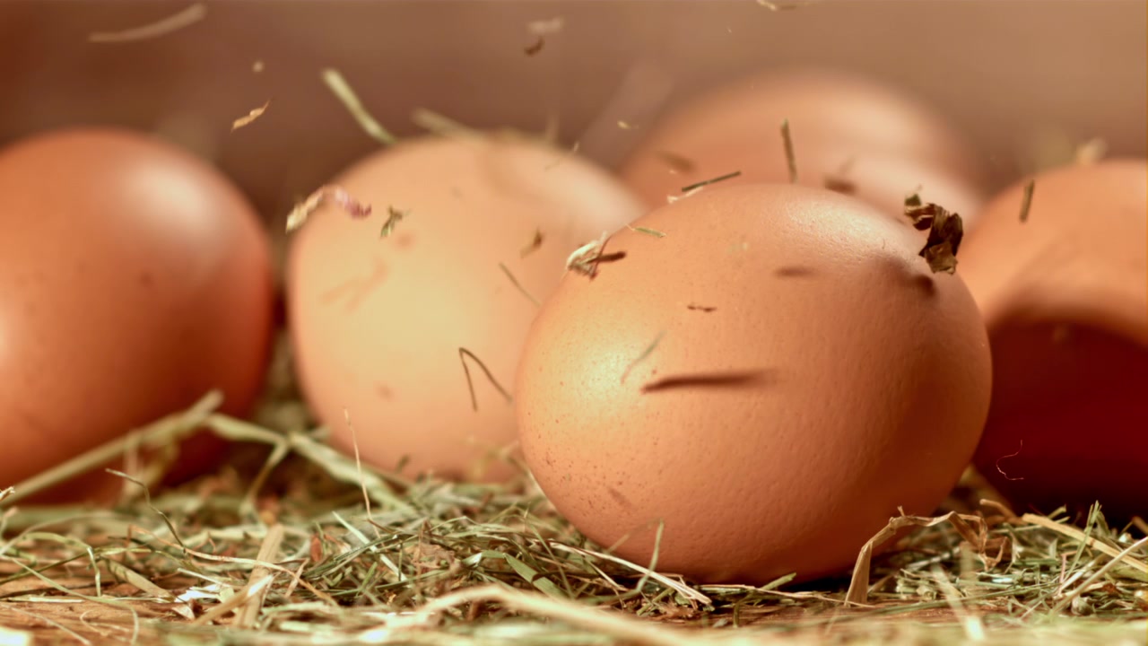 Brune egg på høy med strå som faller i sakte film