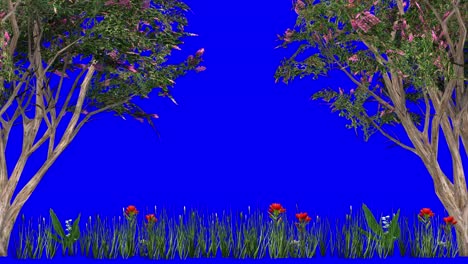 3d grass and crape myrtle trees with wind effect on blue screen 3d animation