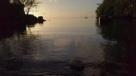 un pez globo muerto flotando en el agua, puesta de sol en el fondo.
