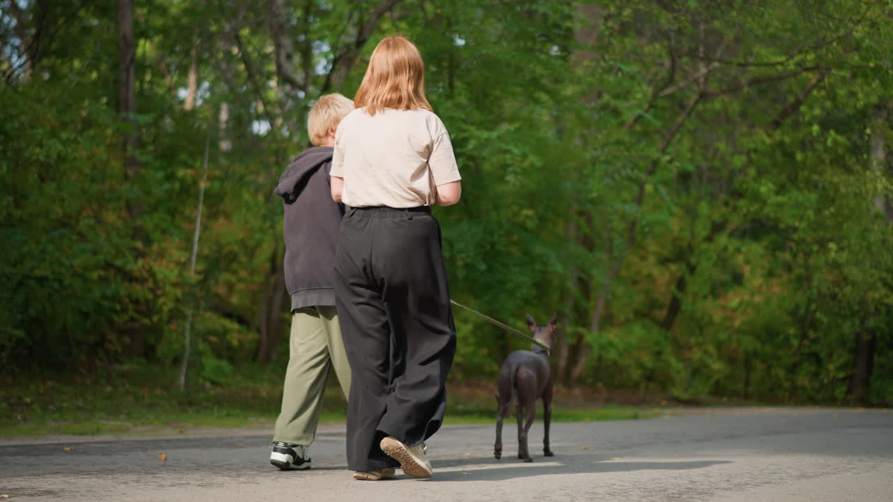White Woman And Boy Walking Dog Together Down TreeLined Road, Leisurely Neighborhood Stroll With Relaxed Pet On Leash, Casual Conversation And Natural Scenery, Autumn Light And Slow Pace