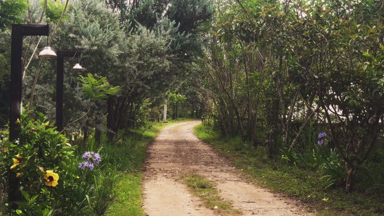 Vibrant autumn forest path lined with colorful trees under soft sunlight. Crisp leaves fall gently, creating a serene, natural scene perfect for nature, travel, or wellness projects