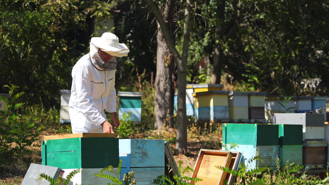 Professional beekeeper on apiary in summer. Male apiarist in special suit and hat working near beehives. Man putting frames into the hive.