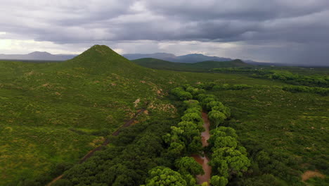 San-Pedro-Uferschutzgebiet-In-Arizona