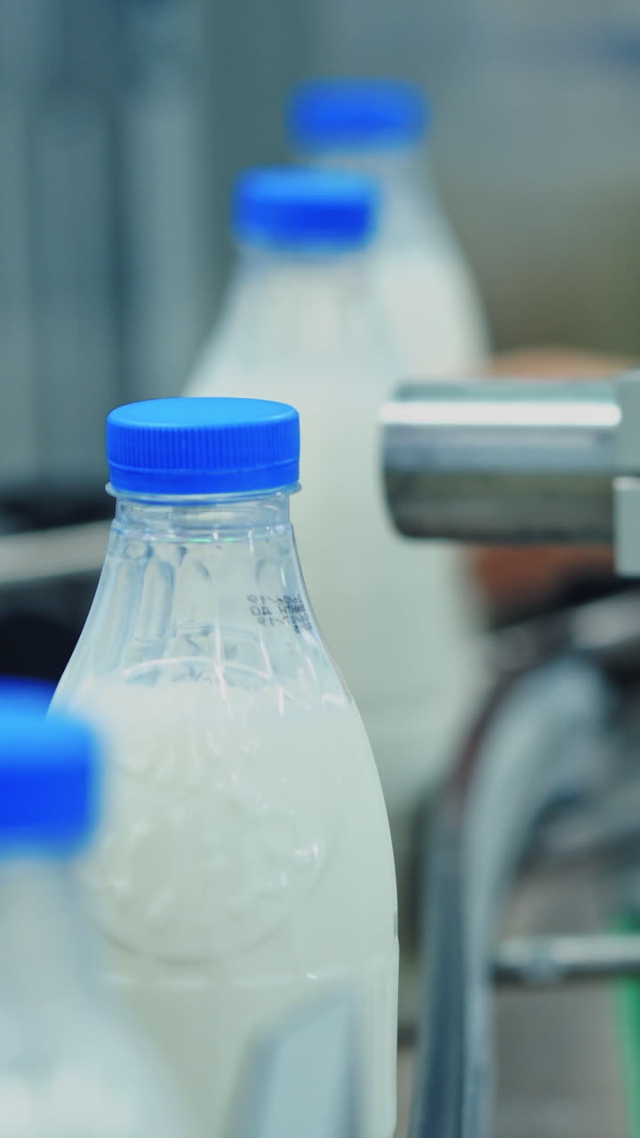 Bottles with milk moving on conveyor line. Packaging line at dairy factory. Food industry. Milk production plant. Vertical video