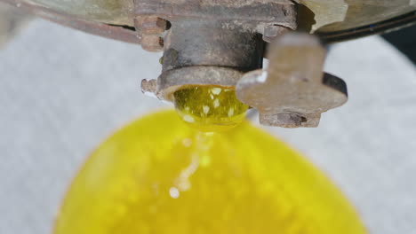 fresh unfiltered honey flows out of the honey machine 4k 10 bit video