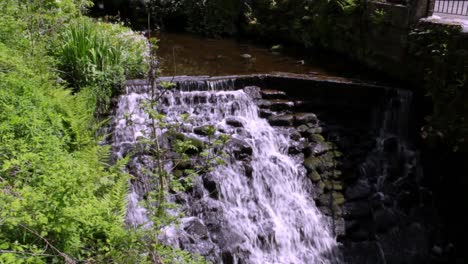 Beautiful-brook-in-the-countryside,-water-running-on-stones,-wild-nature-of-UK