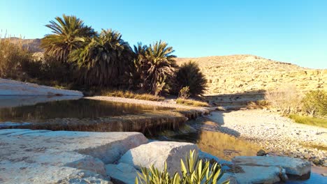 a river in the middle of the sahara desert algeria biskra