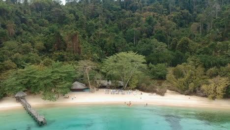 toma aérea de drones de una playa aislada en el borde de la selva tropical en borneo