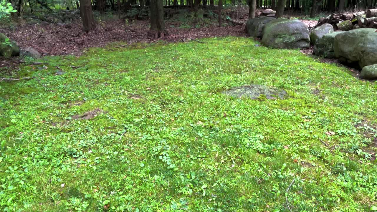 숲을 가로지르는 고속도로, 위로 기울어