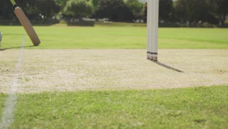 close up view of a cricket player running