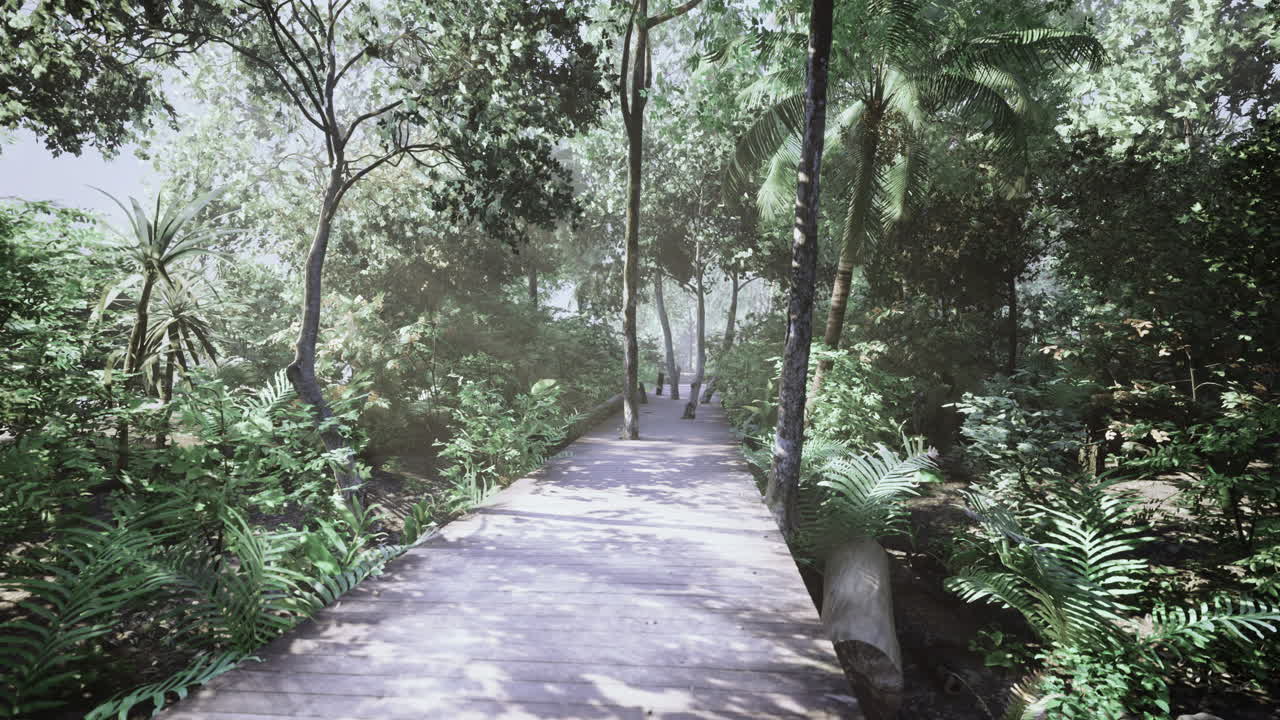 Serene forest pathway surrounded by lush greenery in natural setting