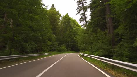 Dolly-Forward:-Conduce-Por-Un-Camino-Sinuoso-En-Un-Bosque,-Montañas-Bucegi,-Rumania