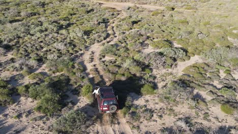 Aerial-track-shot-of-girl-hang-out-of-car-window-and-enjoying-freedom-during-road-trip---Australian-outback-hills