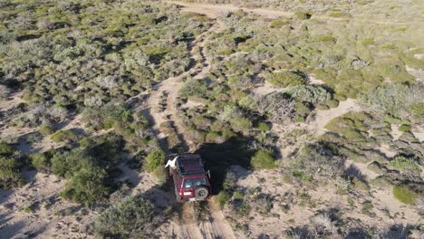 toma aérea de una chica colgando de la ventana del camión y disfrutando de la libertad durante el viaje por carretera - colinas del interior australiano