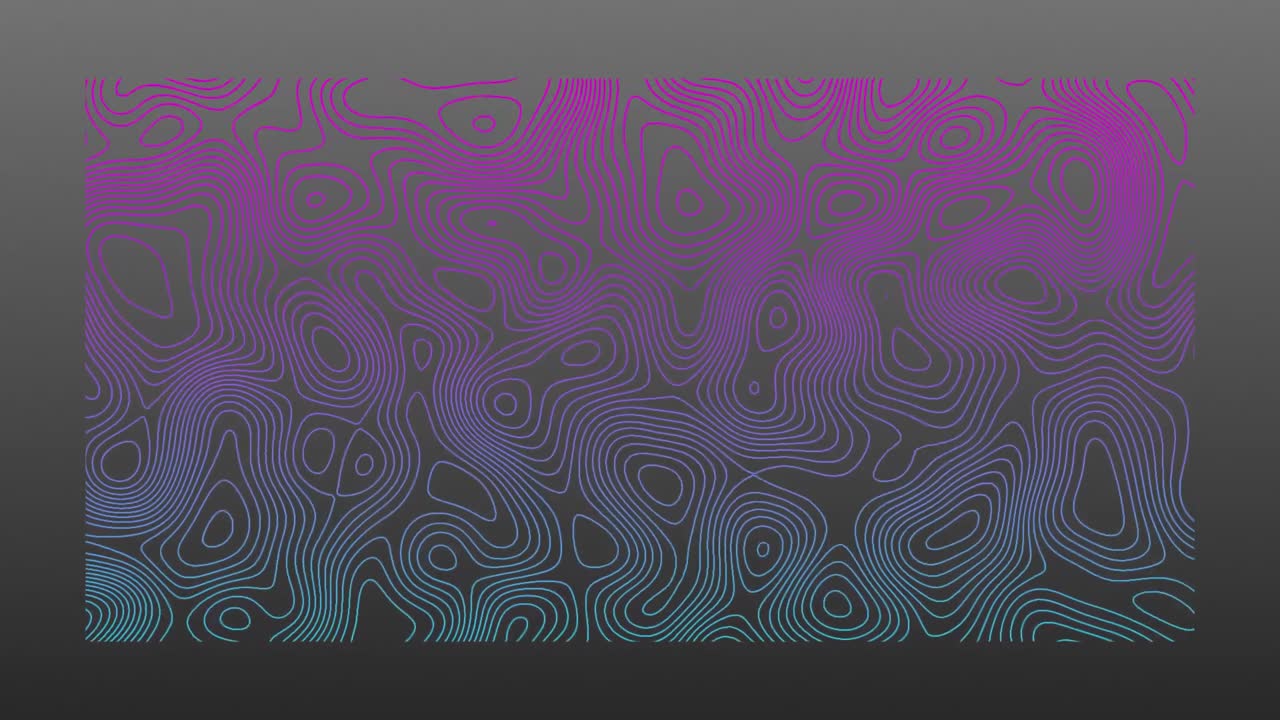 animación de líneas topográficas azules y rosas que se mueven orgánicamente sobre un fondo gris
