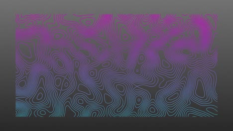 Animation-of-organically-moving-blue-and-pink-topographic-lines-on-grey-background