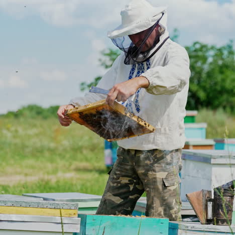 beekeeper at work. frames of a bee hive. apiary concept