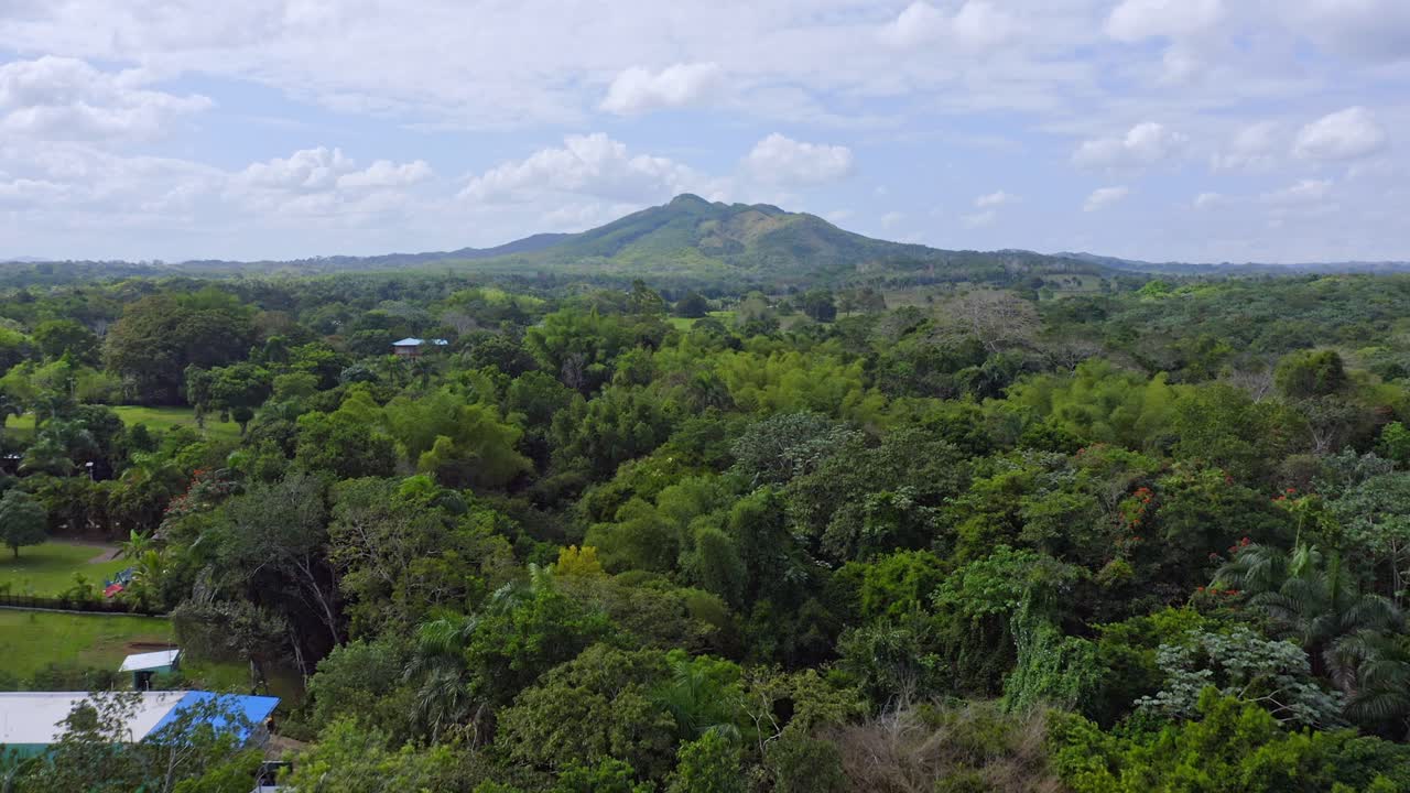 Drone che vola sopra una foresta verde vicino a Bayaguana nel comune di Monte Plata