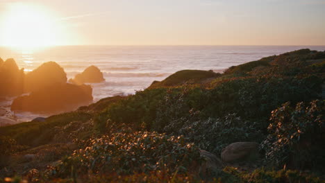 coastal horizon glowing sunset with beautiful evening sky. nature beauty at dusk