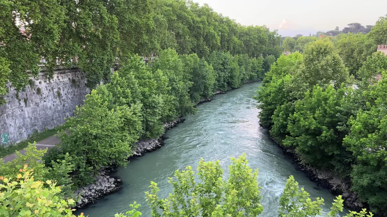 L'acqua scorre attraverso il fiume Tevere a Roma, Italia, circondato da una vegetazione rigogliosa.