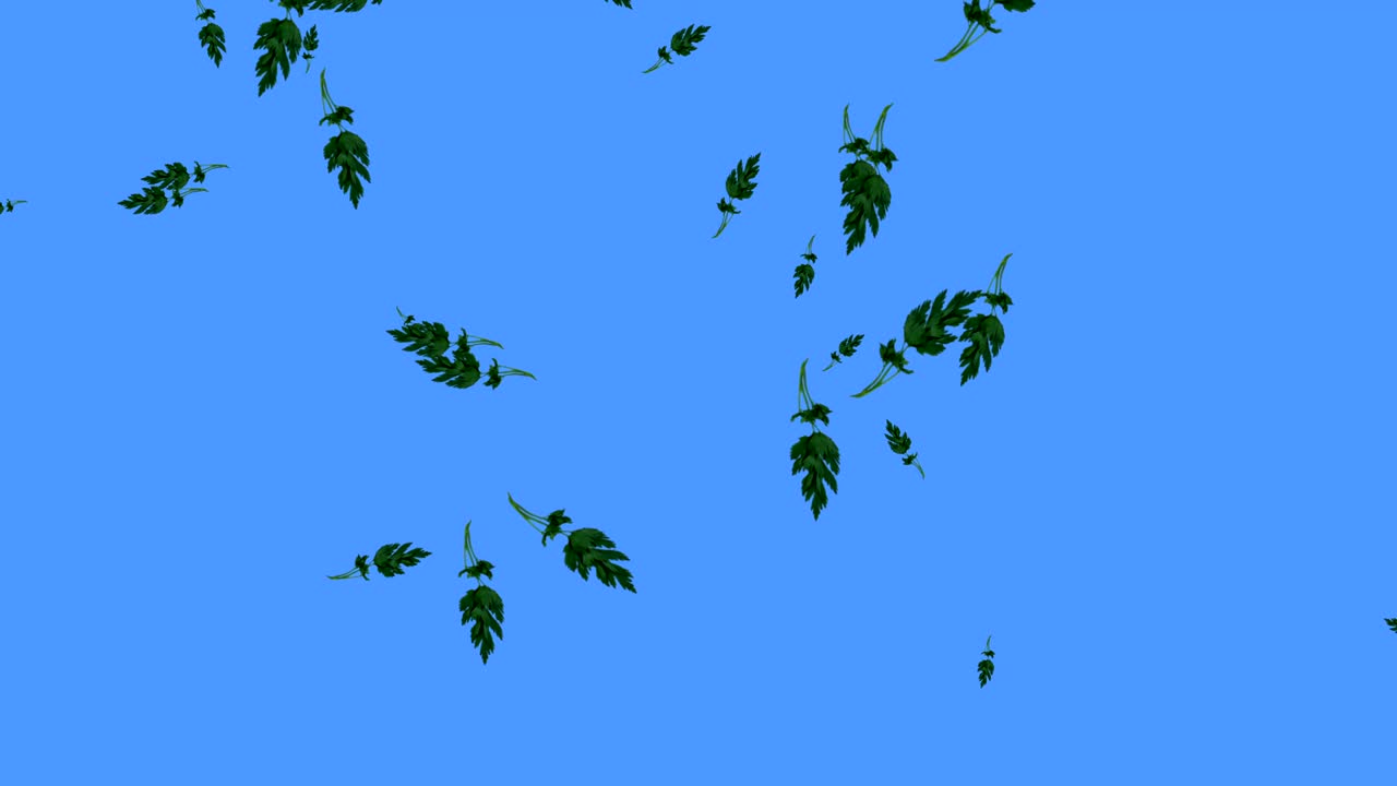 야채가 떨어지는 애니메이션 크로마 키 요소 루프, 파슬리