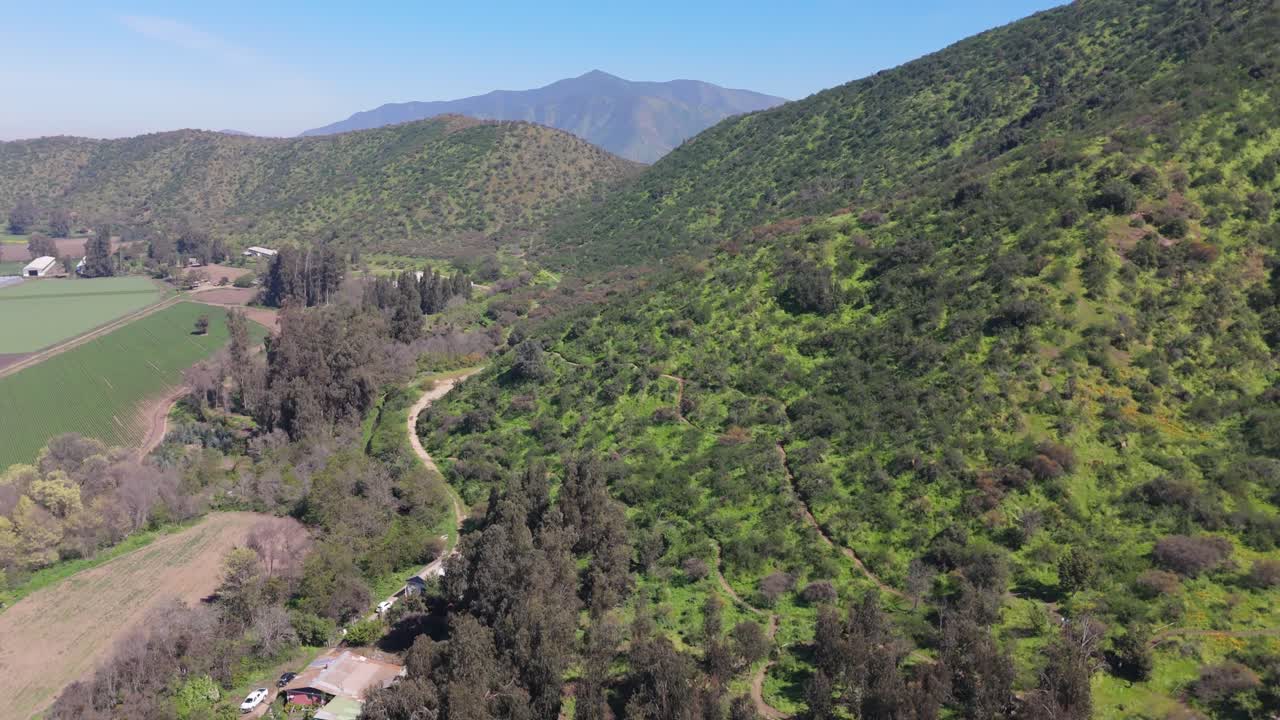 Rural Rhythms: Spring Life in the Hills of Chile, Metropolitan Region, Chile