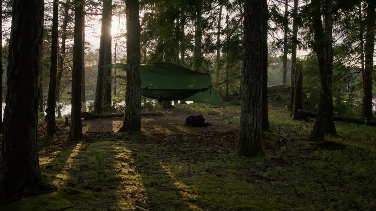 Neatly pitched green hammock with overhead tarp nestled in a serene pine forest by the lakeside, gently swaying in the evening breeze, captured in warm golden hour sunlight