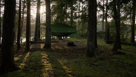 neatly pitched green hammock with overhead tarp nestled in a serene pine forest by the lakeside, gently swaying in the evening breeze, captured in warm golden hour sunlight
